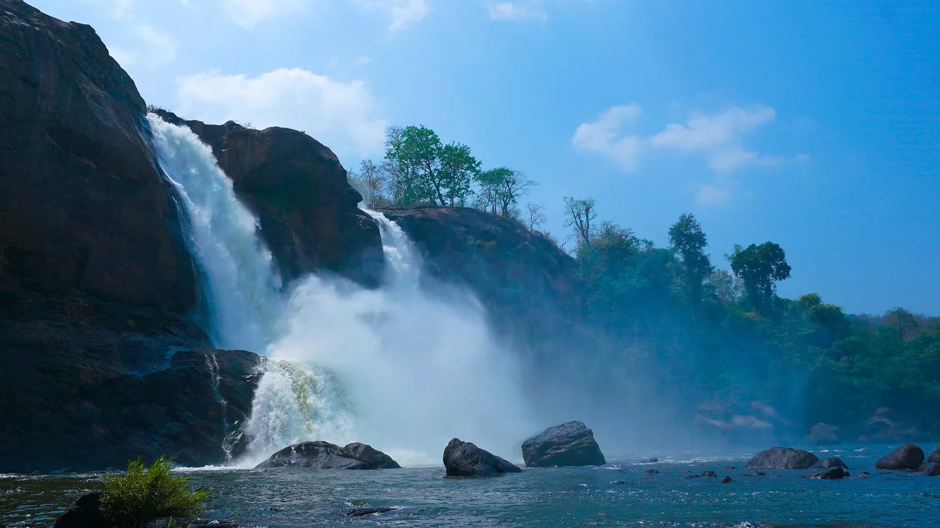 Munnar & Thekkady Explorer - Premium Package (3N/4D)
