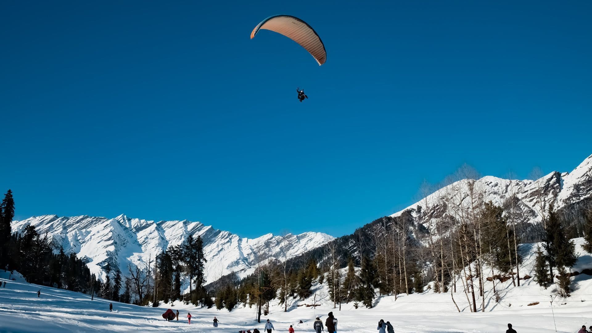 Shimla
